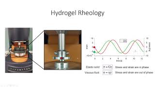 Hydrogel Characterization Lecture [upl. by Wernick]