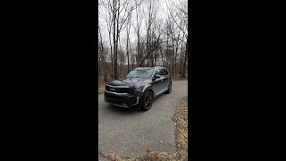 2022 Kia Telluride SX AWD Overview Shorts A lot for A Little [upl. by Enelyw168]