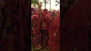 Tejo Babo Aavlo  Marwadi Dance 😍 shorts trendingshorts ballimohanwadi tejaji youtubeshorts [upl. by Dnalhsa811]