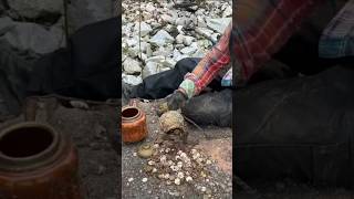 We found a treasure of immeasurable value trapped inside the castle wall 😱  metaldetecting shorts [upl. by Aicirt121]