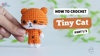 485  Amigurumi Cat 13  Crochet Amigurumi  Free Pattern  Amiguworld [upl. by Patnode]