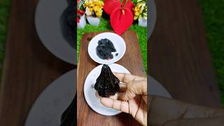 Tasty Oreo Chocolate Modak Recipe Dairy Milk Modak Recipefood tasty chocolate modak dairymilk [upl. by Aseretairam806]