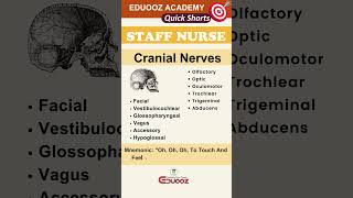 Cranial Nerves [upl. by Estus]