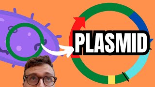 PLASMIDS EXPLAINED [upl. by Alyac]