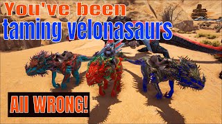 Velonasaur taming the easy way SOLO [upl. by Heinrik]