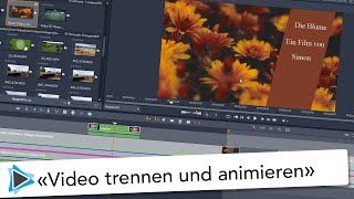 Video schräg abschneiden und animieren Pinnacle Studio Video Tutorial Deutsch [upl. by Delfeena]