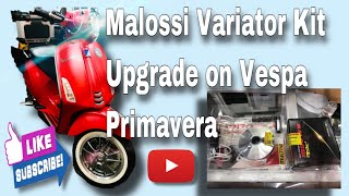 Malossi Variator Kit Upgrade  On Vespa Primavera 150S [upl. by Boatwright813]