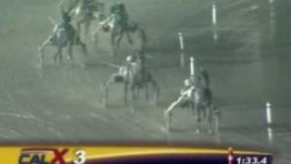 Harness Racing Impossible Comeback  Hitchhiker [upl. by Wildee]