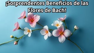 🌼 ¡DESCUBRE 5 SORPRENDENTES BENEFICIOS de las FLORES de BACH para tu BIENESTAR 🌿✨ [upl. by Nahsez978]