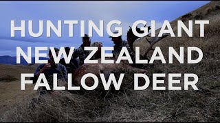 Hunting Giant New Zealand Fallow Deer [upl. by Aracat]