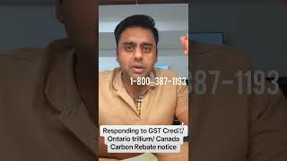 Responding To CRA notice for World Income  GST credit and other benefits in Canada [upl. by Anesor]