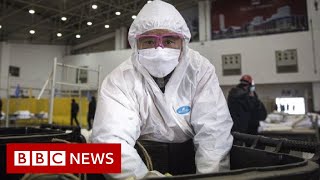 Coronavirus disease named Covid19  BBC News [upl. by Neom]