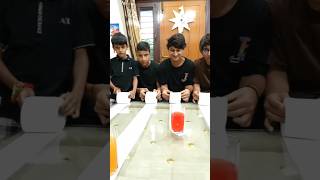 Toilet paper challenge souravjoshivlogs piyushjoshivlogs souravjoshimemes shorts [upl. by Gravante]