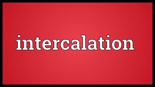 Intercalation Meaning [upl. by Anaugahs]