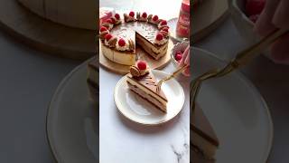 Biscoff Raspberry Cheesecake 🍰 biscoff biscoffcake biscoffcheesecake youtubeshorts shortvideo [upl. by Fortin102]