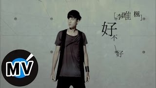 李唯楓 Coke Lee  好不好 Alright 官方版MV  三立華劇 剩女保鏢 插曲 [upl. by Ellener]