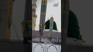 Rehmat E Rab E Ullah Zat E Muhammad Mustafa ytshorts beautiful islamicmusic naat [upl. by Ettenotna]