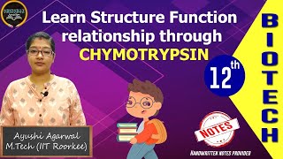 Lecture 33 Structure Function Relationship  Chymotrypsin  Ayushi Agarwal  Shikshak Junction [upl. by Bodwell]