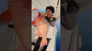 fishing صيد fish سمك بحر صيدالسمك sharklife اكسبلور الصيد ocean trendingshorts trending [upl. by Gussy3]