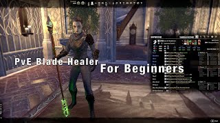 ESO Nightblade Healer PvE Build for Beginners QuickGuide [upl. by Aciretal118]