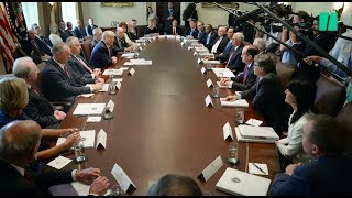 Trump Invites His Employees To Praise Him During Cabinet Meeting [upl. by Merrile239]