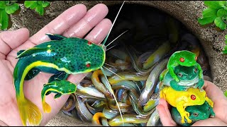 Catch colorful fish in eggs koi frogs and ornamental fish guppies pet turtles catfish [upl. by Nylirej]