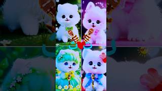 Alifun baa Taun Saa  Naat  islamic video  cute cutecat islamicshorts cat islamicsong love [upl. by Astrid584]