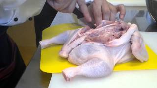 Deboning a Whole Chicken [upl. by Lenneuq137]