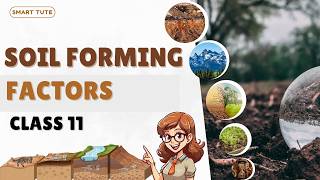 Soil Forming Factors  Geomorphic Processes  Class 11 Geography  NCERT [upl. by Laeria]