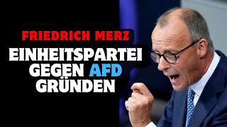 Friedrich Merz CDU Einheitspartei gegen AFD gründen [upl. by Suilienroc]