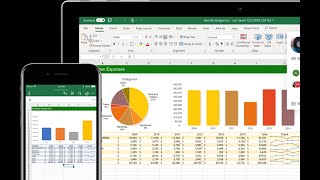 Sage 100 Auswertungen mit Excel und Pivot [upl. by Nerag538]