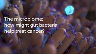 The microbiome how might gut bacteria help treat cancer  Cancer Research UK [upl. by Thgiwed]