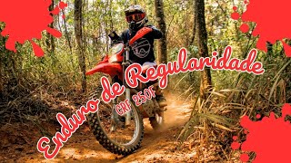 CRF 250 F  Enduro de Regularidade  Review [upl. by Salvidor]