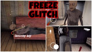 GRANNY CHAPTER 2  GRANNY AND GRANDPA FREEZE GLITCH [upl. by Mongeau]