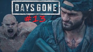 Days Gone  13  Aventura completa [upl. by Aenil289]