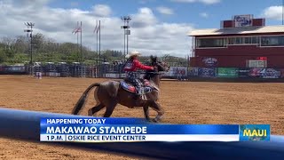 Makawao Stampede continues today on Maui [upl. by Odlabu]