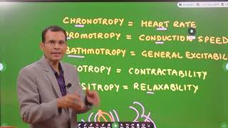 MCQ  Cardiac output 1st mbbsneet pgnextusmleplabFMGE HINDI [upl. by Annaeoj]