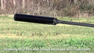 556 Suppressor test [upl. by Hort]