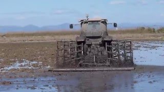 El fangueo transforma los arrozales en el Parc Natural de lAlbufera [upl. by Matilda457]