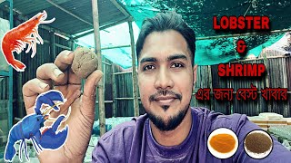 How to take care of crayfish in Bangla [upl. by Berkow]