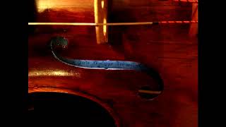 Bach  Suite No 1 BWV 1007 Prelude Viola CGTestore 1699 [upl. by Mandel]