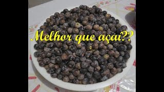 Como fazer o suco da bacaba prima do Açaí  Receitas da Mada [upl. by Dav249]