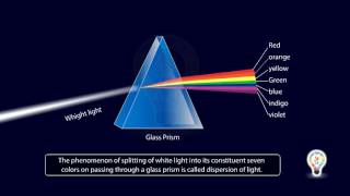 Refraction of light through prism  Dispersion Of White Light [upl. by Indyc613]