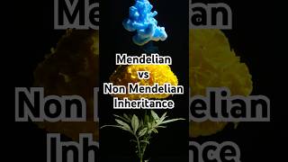 Mendelian vs Non Mendelian Inheritance Explained [upl. by Combes]