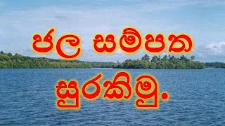 ජල සම්පත සුරකිමු රචනාව [upl. by Coumas]