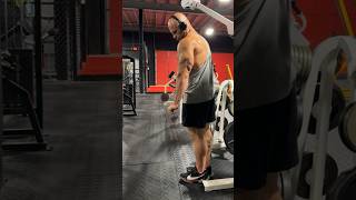 Standing Cable Tricep Kickbacks  a link to the full workout is in the description [upl. by Armalla]