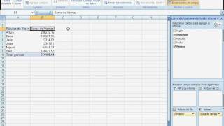 Tablas Dinamicas Excel 2007 [upl. by Navad]