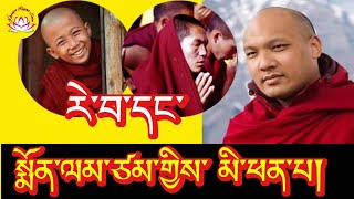 HH Karmapa’s speech about expectation amp prayer rumtekkarmaekhenpo karmapa rinpoche tibettv voa [upl. by Eladnek]