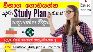 Study Plan එකක් හදන්නේ මෙහෙමයි  How to make Time Table and Study Plan  30 days Tips from Bio Api [upl. by Isle]