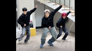 NCT 127  Fact Check Dance Mirrored [upl. by Hollie78]